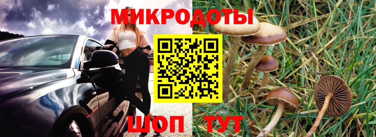 Галлюциногенные грибы мухоморы Отрадный