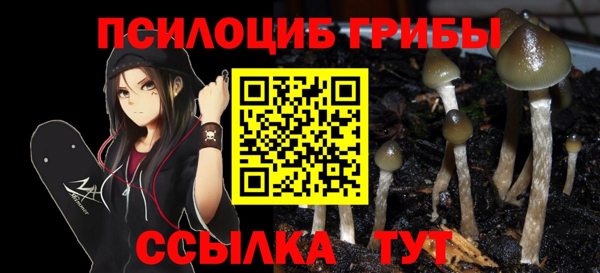 Галлюциногенные грибы прущие грибы  Псилоцибиновые грибы Psilocybe  Вход с VPN  Отрадный 
